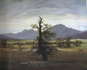 Caspar David Friedrich Landscape with Solitary Tree (mk10) oil painting artist